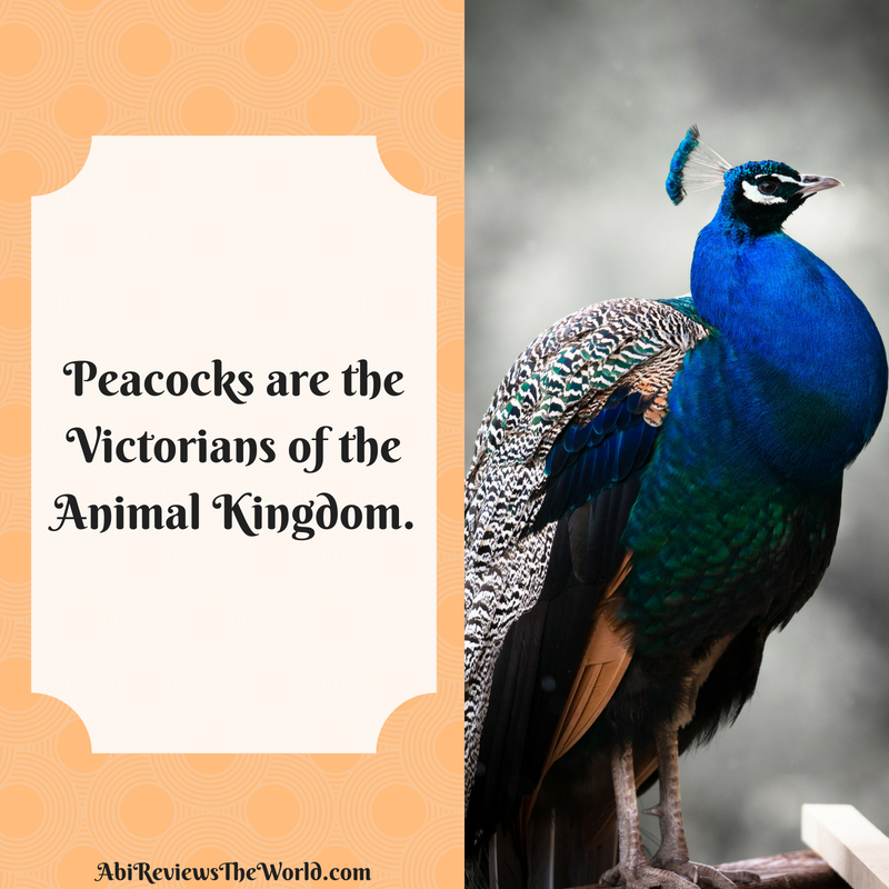 Peacocks are the Victorians of the Animal Kingdom.